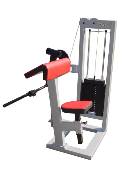 GR-Bicep Curl Station